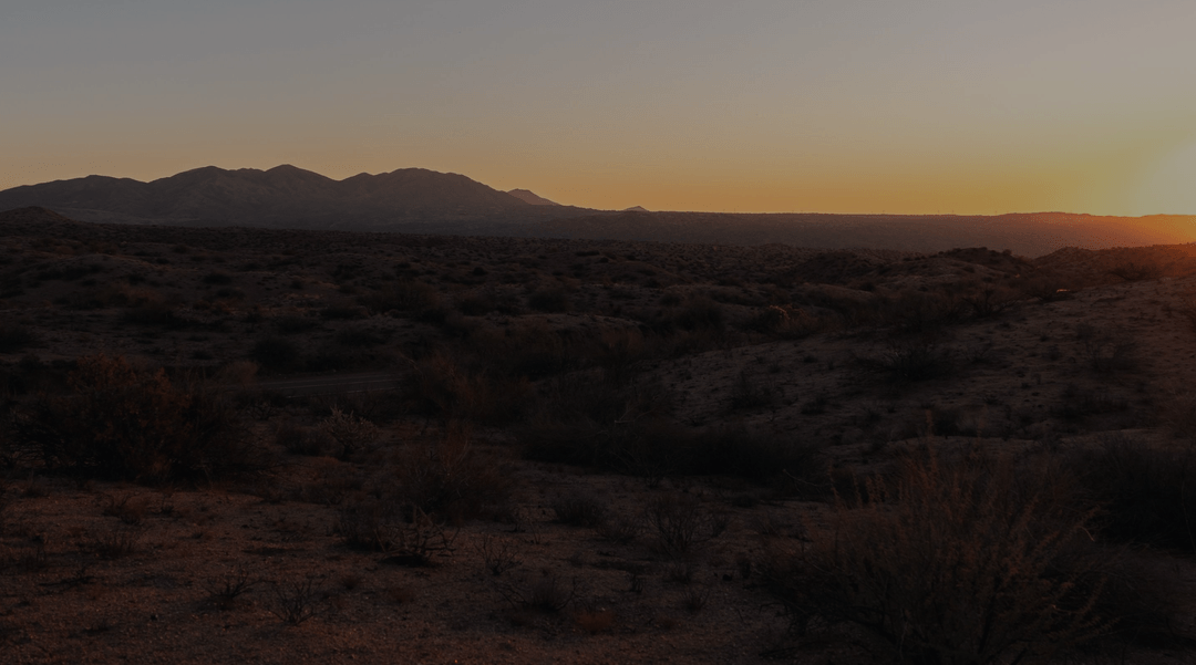 Boutique Development and Curation